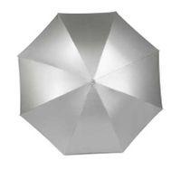 Paraplu Zilver