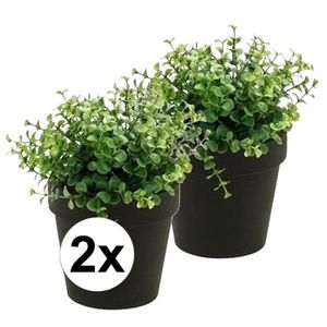 2x Kunstplant eucalyptus groen in zwarte pot 20 cm