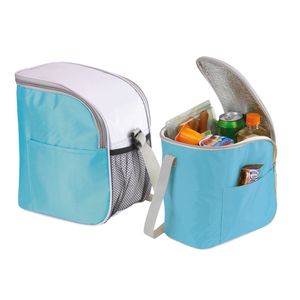 Kleine koeltas/Lunch tas model Glaciaal - 2x - 23 x 16 x 26 cm - 1 vaks - ijsblauw/grijs - 9 Liter