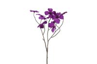 Decostar Countryfield Kunstbloem Beau Cornus paars-L67B26H26CM