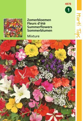 HT Zomerbloemen gemengd - Hortitops