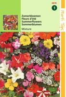 HT Zomerbloemen gemengd - Hortitops