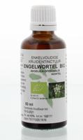 Natura Sanat Angelica officinalis/engelwortel tinctuur bio