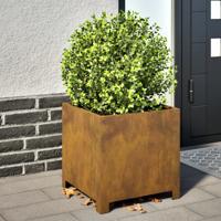 VidaXL Plantenbakken 2 st 40x40x40 cm weervast staal