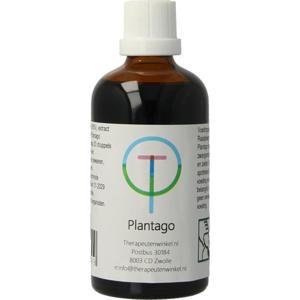 TW Plantago lanceolata