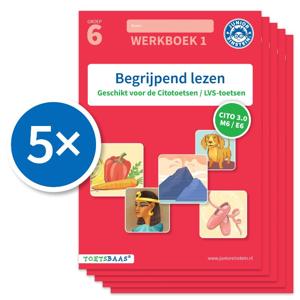 Begrijpend lezen werkboek 1 (Set van 5) (Paperback)