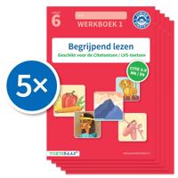 Begrijpend lezen werkboek 1 (Set van 5) (Paperback)