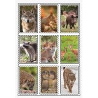 3D wilde dieren sticker set