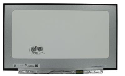 17.3 inch LCD Scherm 1920x1080 Glans 30Pin eDP, IPS