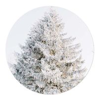 Muurcirkel Witte Kerstboom 40 Standaard hout White PVC