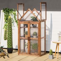Portable 3 Tier Mini Houten Serre met Verwijderbare Planken Transparant