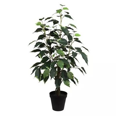 Ficus Bonsai Donkergroen 60 cm kunstplant - Buitengewoon de boet