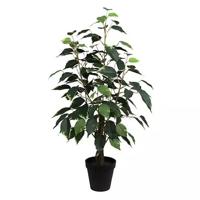 Ficus Bonsai Donkergroen 60 cm kunstplant - Buitengewoon de boet