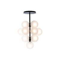 Pulpo Stellar Grape Hanglamp - Transparant - Zwart