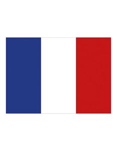 Printwear FLAGFR Flag France