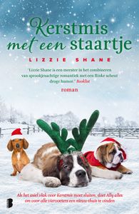 Kerstmis met een staartje - Lizzie Shane - ebook