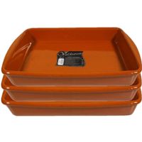 Set van 3x stuks tapas ovenschalen/serveerschalen rechthoekig terracotta Fontein 4 liter