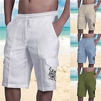 Voor heren Korte broek Zomer korte broeken Baggy korte broek Trekkoord Elastische taille Meerdere zakken Grafisch Ademend Zacht Korte Casual Dagelijks Feestdagen Streetwear Ontwerper Wit blauw Lightinthebox - thumbnail