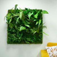 Kunstplanten wand &apos;urban jungle&apos; - 100 x 100 cm