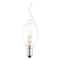 Leen Bakker - Calex Tip Kaarslamp - Helder - E14 - 10W - 55LM - Glas - Transparant - H120 Cm