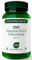 AOV 250 Vitamine B12 & Foliumzuur Vegacaps