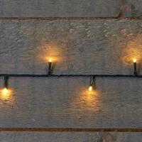 Kerstverlichting Ivy - 100 led lampjes - warm wit - 750 cm - lichtsnoer