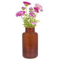 Bela Arte Bloemenvaas Milan - transparant bruin - D15 x H25 cm - melkb