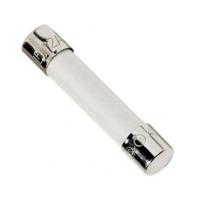 Aquaforte Zekering 3A voor TMC PRO CLEAR 30/55W | Vijver UV-C Bescherming