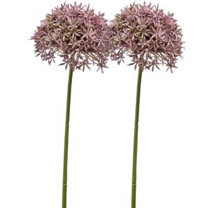 Allium/Sierui kunstbloem - 2x - losse steel - lila - 62 cm - Natuurlijke uitstraling