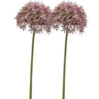 Allium/Sierui kunstbloem - 2x - losse steel - lila - 62 cm - Natuurlijke uitstraling