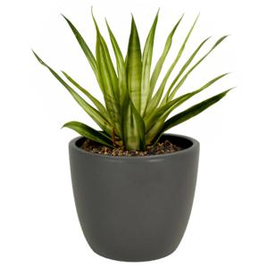 Floran bloempot/plantenpot Atmosphera - mat antraciet grijs - keramiek - D13 x H12 cm