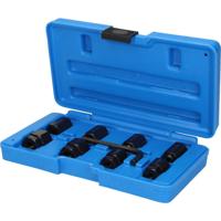 Brilliant Tools BT542000 Steekbout-uitschroevendraaierset