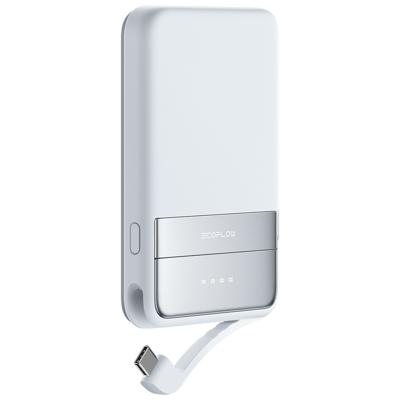 EcoflowEF-RAPID5000-L-EU Powerbank Blauw