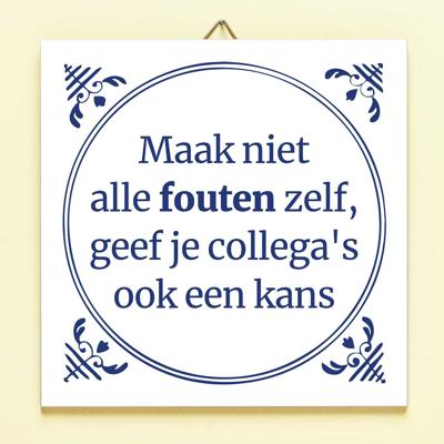 Tegeltje Maak niet alle fouten zelf