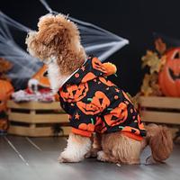 Honden Halloween outfits Hondenkostuum Pompoen leuke Style Zacht Halloween Carnaval Feest Hond puppy kleding outfits Lightinthebox