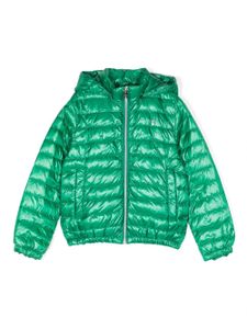 Herno Kids hooded zip-up padded jacket - Vert