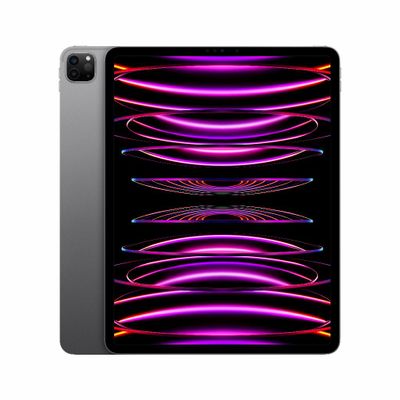 Refurbished iPad Pro 12.9 256 GB (2022) Space Gray Als nieuw