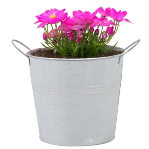 Plantenpot/bloempot/emmer - zink - whitewash - D14 x H12 cm