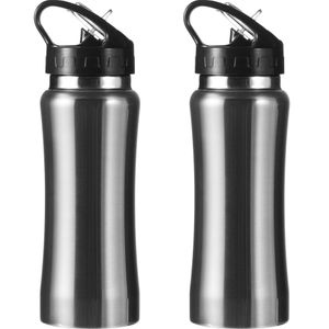 Set van 2x stuks luxe Drinkfles/waterfles 600 ml zilver van RVS