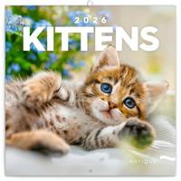 Kittens Kalender 2026