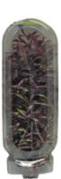 Superfish easy plant hoog 30 cm nr. 3 - Superfish