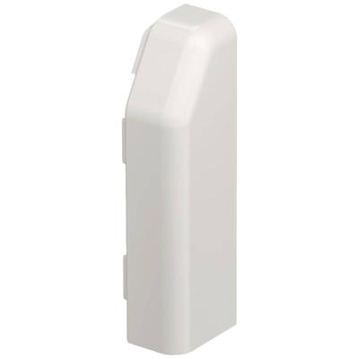 OBO Bettermann SL ESre2070 cw voor Eindstuk Wit 1 stuk(s)