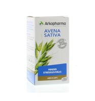 Avena sativa bio