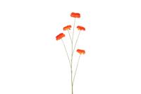Decostar Countryfield Kunstbloem bloem Zinnia oranje