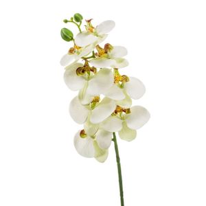 Witte Phaleanopsis/vlinderorchidee kunstbloem 70 cm   -