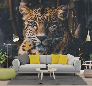 Afrika foto behang Prachtige luipaard in het wild