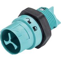 Wieland Electric 46.032.5051.6 Ronde connector Stekker, inbouw Totaal aantal polen: 2 Serie (ronde connectoren): RST® MINI 1 stuk(s)