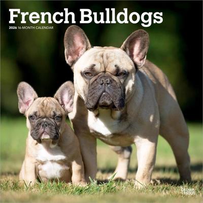 Franse Bulldog Kalender 2026