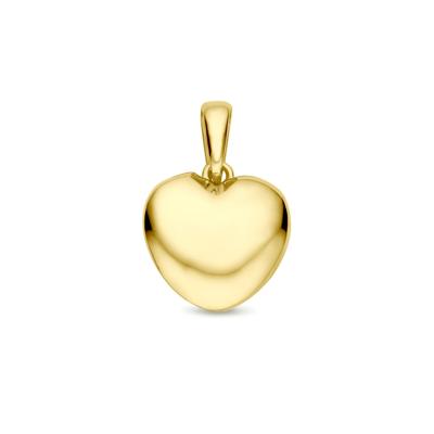 14k Geelgouden Hanger met Hartje - Een Tijdloos Symbool van Liefde en Verbondenheid