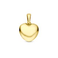 14k Geelgouden Hanger met Hartje - Een Tijdloos Symbool van Liefde en Verbondenheid